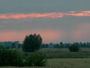 smugi na niebie żuławskim - powrót z kolejnego "nocnego"
