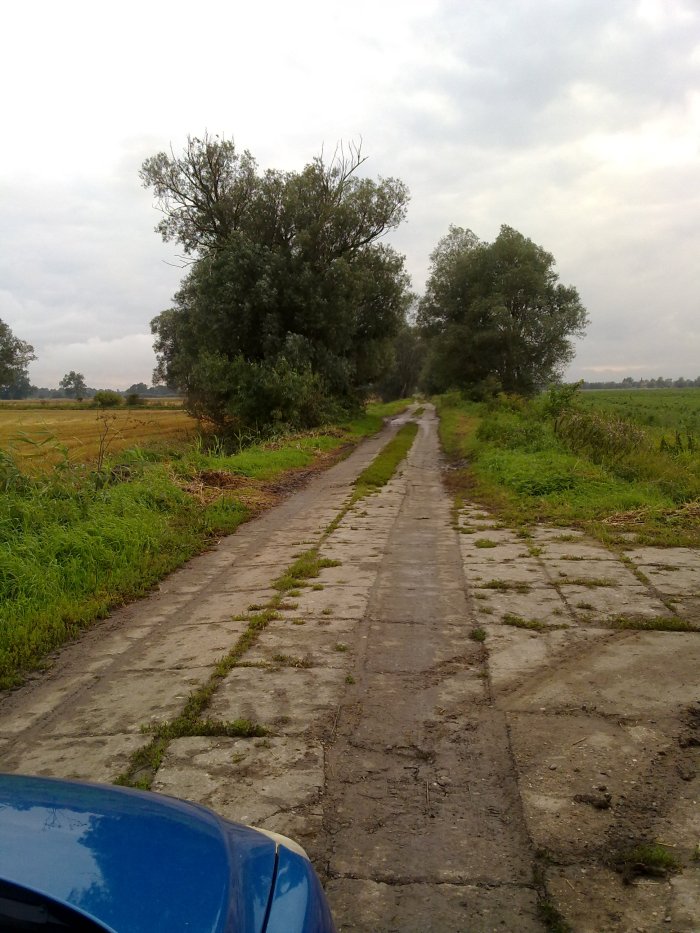 skręcić czy jechać prosto?