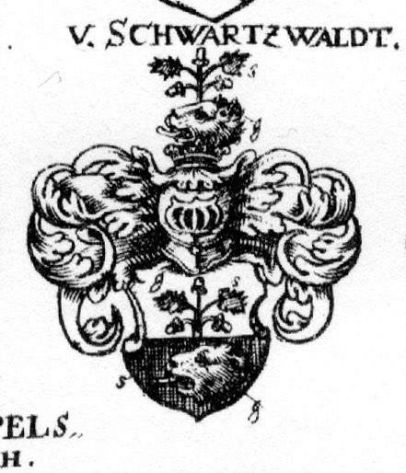 herb Schwartzwaldów z Siebmachera (wappenbuch.de)